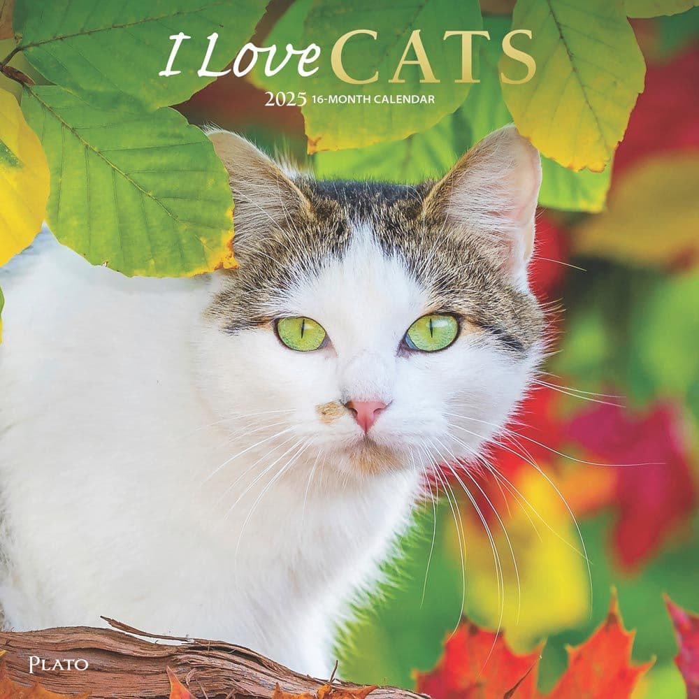 I Love Cats Plato 2025 Wall Calendar Main Product Image width=&quot;1000&quot; height=&quot;1000&quot;