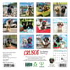 image Crusoe the Celebrity Dachshund 2025 Mini Wall Calendar First Alternate Image width=&quot;1000&quot; height=&quot;1000&quot;