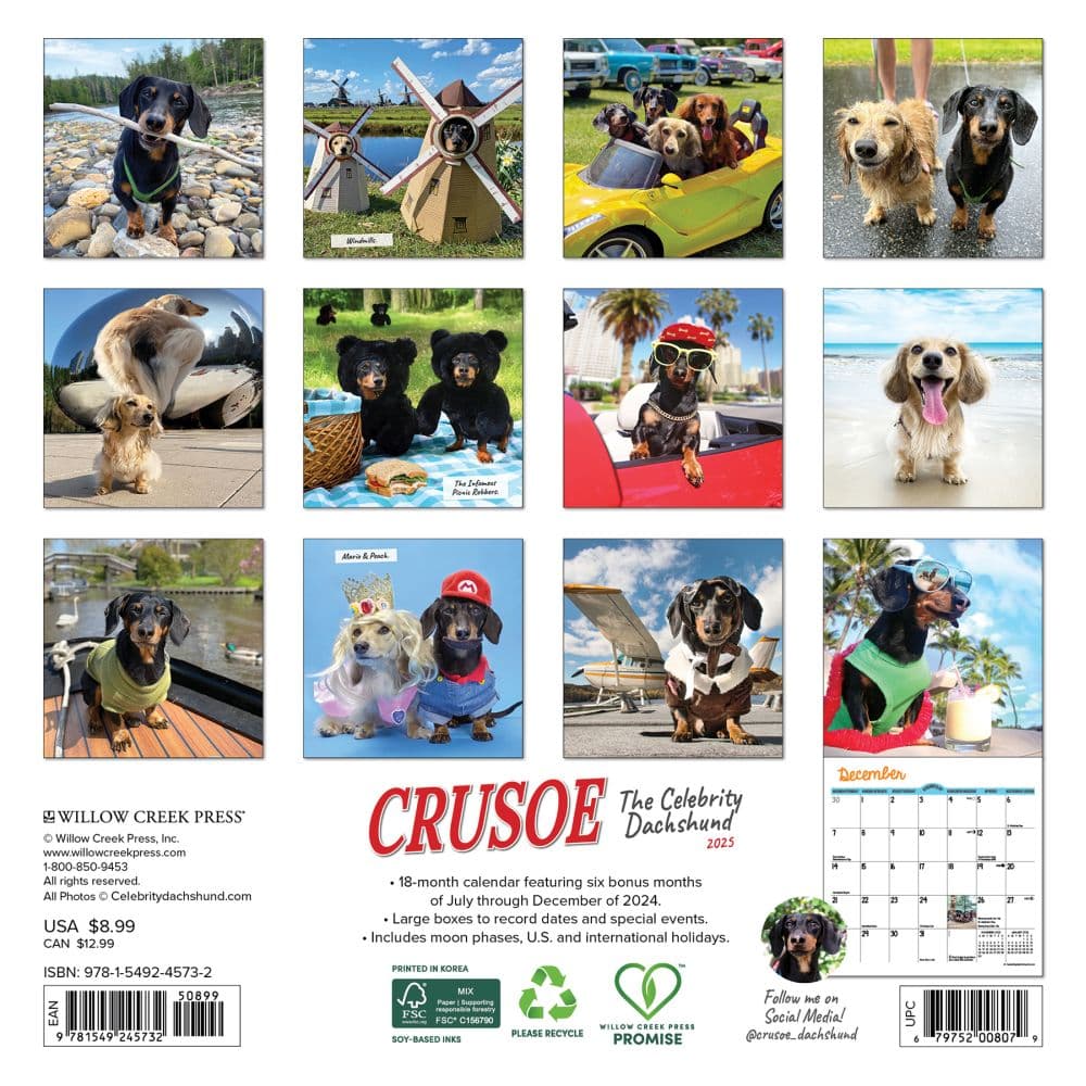 Crusoe the Celebrity Dachshund 2025 Mini Wall Calendar First Alternate Image width=&quot;1000&quot; height=&quot;1000&quot;