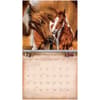image Horses by Victoria Wilson Schultz 2026 Wall Calendar Second Alternate Image
