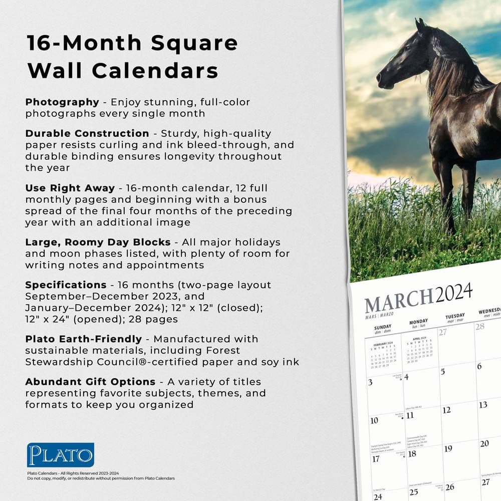 Magnificent Horses 2024 Wall Calendar Alternate Image 4