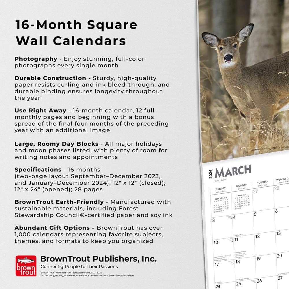 White Tailed Deer 2024 Wall Calendar Fourth Alternate Image width=&quot;1000&quot; height=&quot;1000&quot;