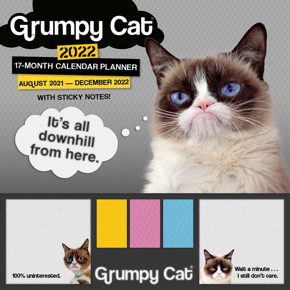 Grumpy Cat Sticky Note 2022 Calendar Planner Calendars Com