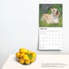 image Scottish Terriers 2025 Wall Calendar Fourth Alternate Images