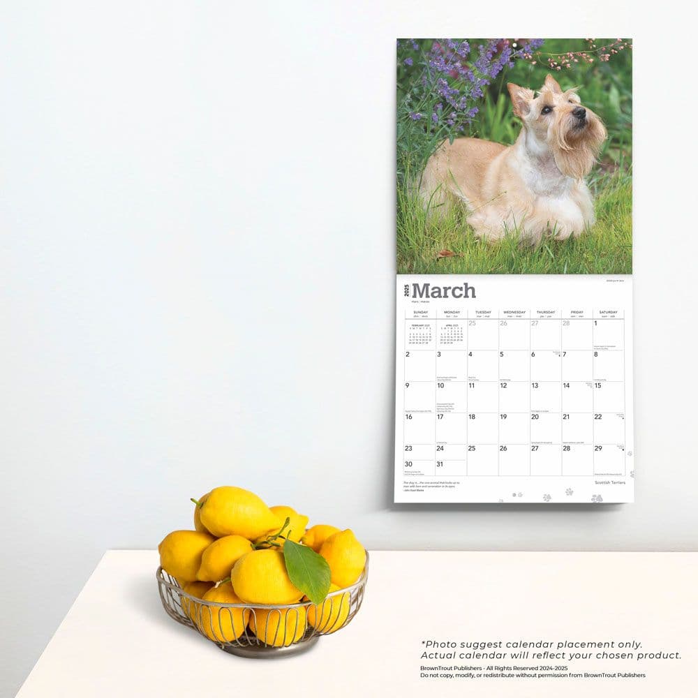 Scottish Terriers 2025 Wall Calendar Fourth Alternate Images