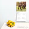 image Baby Moo Moos 2025 Wall Calendar