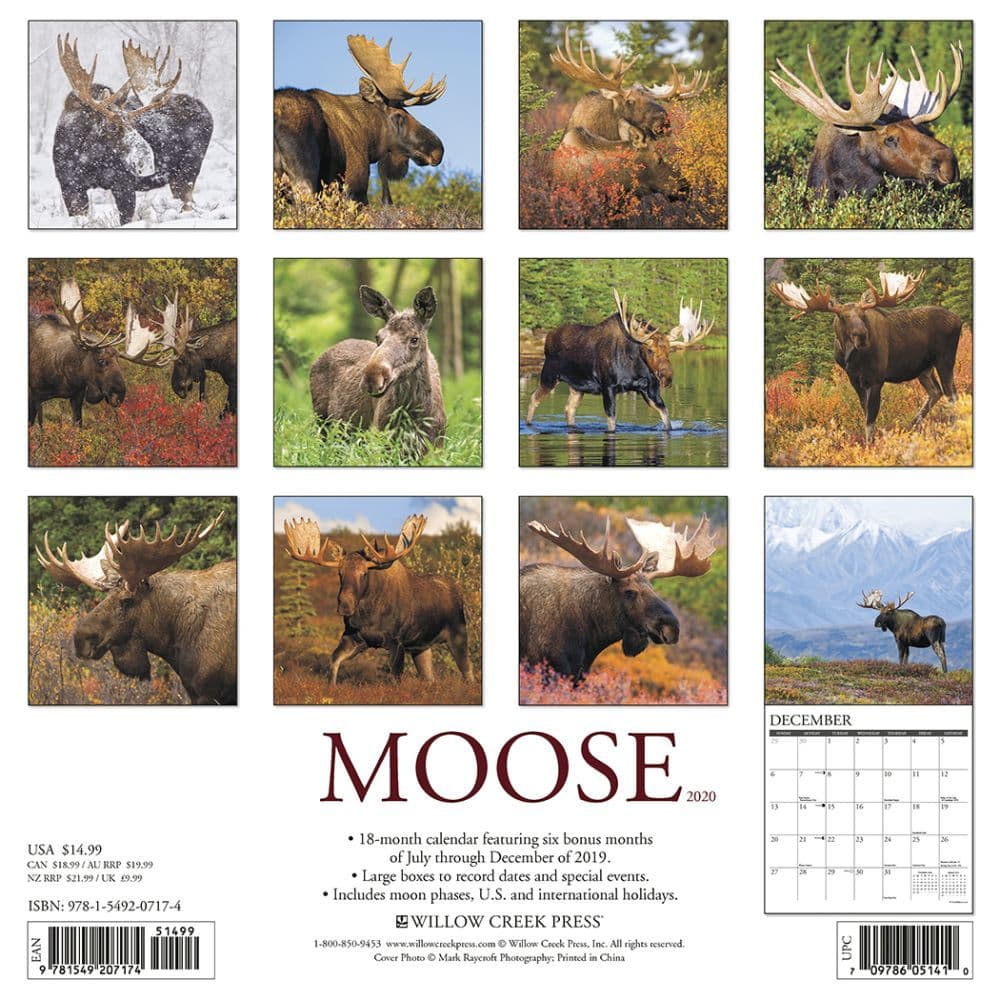 Just Moose Wall Calendar