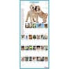 image 365 Puppies-A-Year Picture-A-Day 2027 Wall Calendar Second Alternate Image