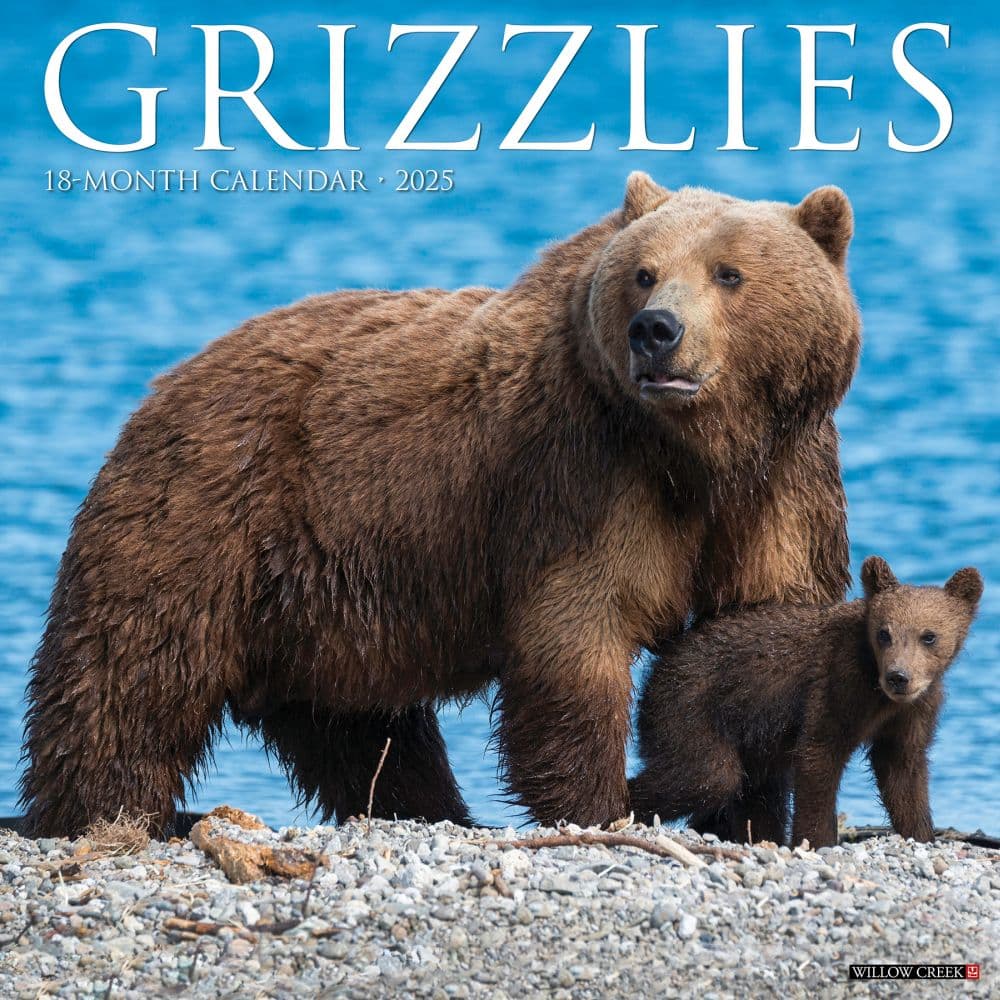 Grizzly Bears 2025 Wall Calendar  Main Image