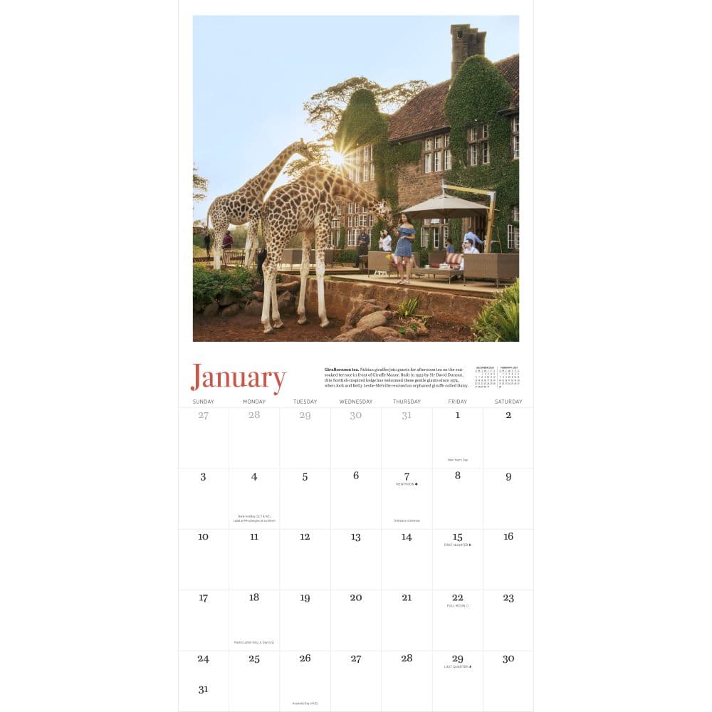 Giraffe Manor 2027 Wall Calendar Second Alternate Image
