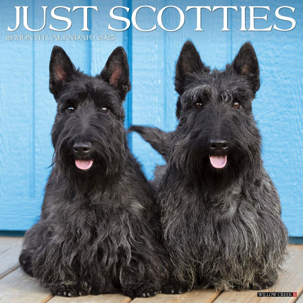 Just Scotties 2025 Wall Calendar