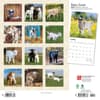 image Baby Goats 2024 Wall Calendar First Alternate Image width=&quot;1000&quot; height=&quot;1000&quot;