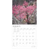 image Oklahoma Wild and Scenic 2025 Wall Calendar Second Alternate Image width=&quot;1000&quot; height=&quot;1000&quot;