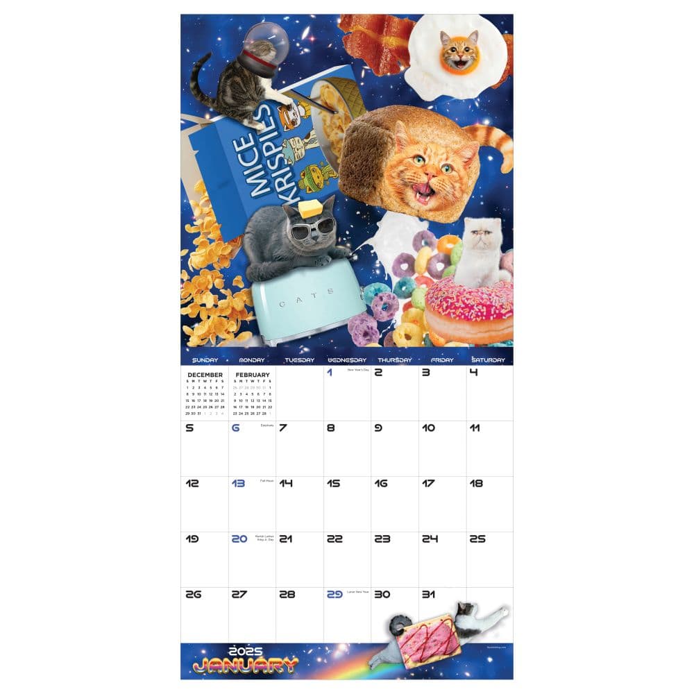 Space Cats 2025 Wall Calendar Second Alternate Image