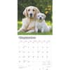 image Golden Retrievers 2025 Wall Calendar