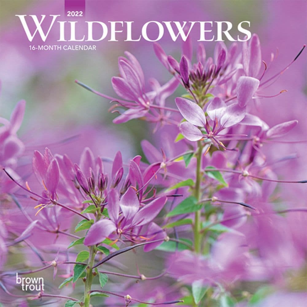 Wildflowers 2022 Mini Wall Calendar - Calendars.com