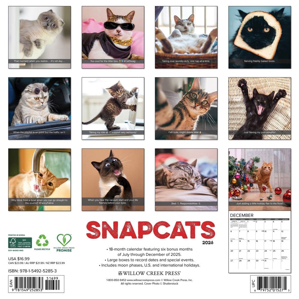 Snapcats 2026 Wall Calendar First Alternate Image