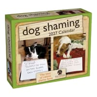image Dog Shaming 2027 Desk Calendar Main Product Image