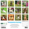 image Just Chihuahua Puppies 2025 Wall Calendar First Alternate Image width=&quot;1000&quot; height=&quot;1000&quot;