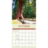 image Redwood Forest 2025 Wall Calendar Fourth Alternate Image width="1000" height="1000"