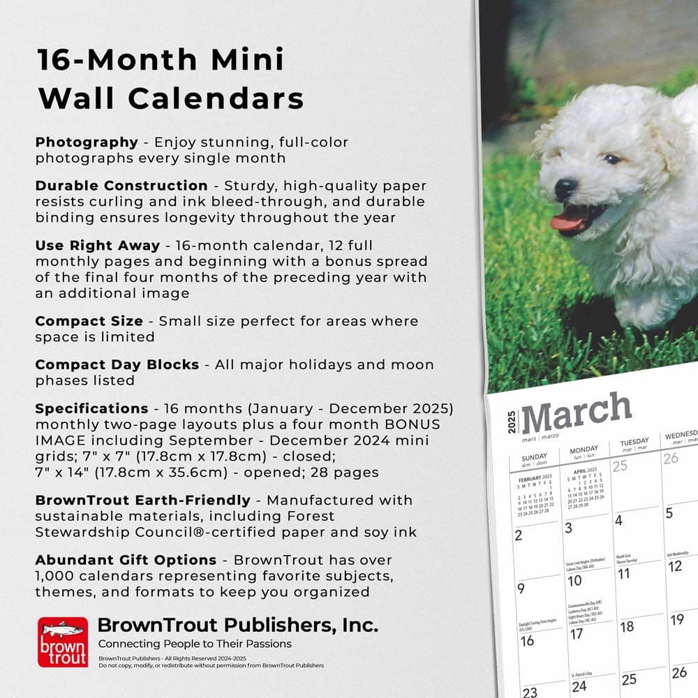 Bichon Frise Puppies 2025 Mini Wall Calendar Fifth Alternate Image width=&quot;1000&quot; height=&quot;1000&quot;