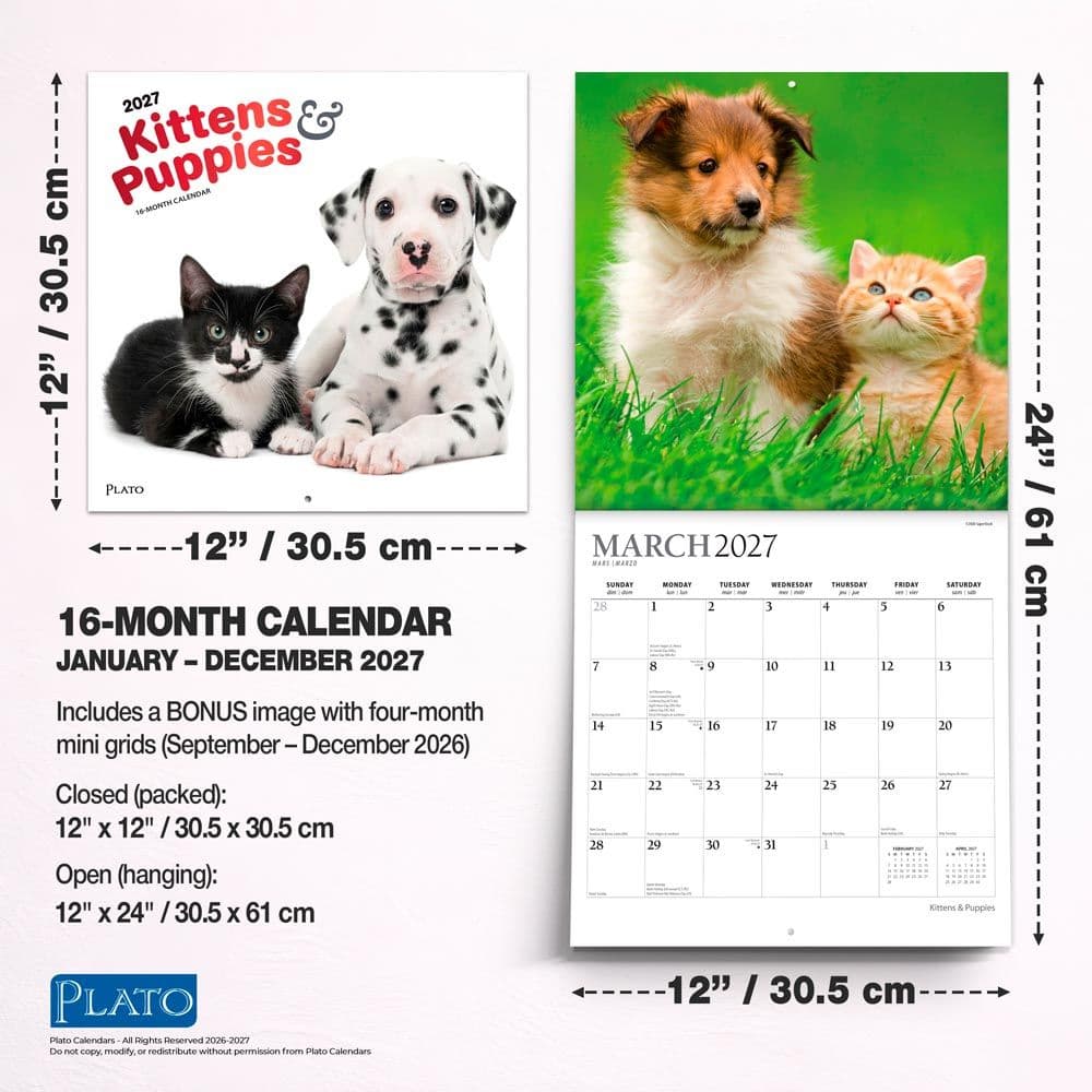 Kittens And Puppies Plato 2027 Wall Calendar Sixth Alternate Image