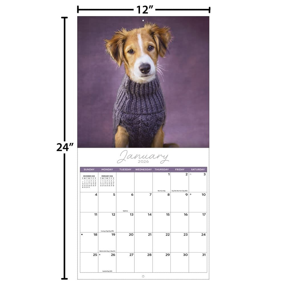 Rachael Hale Loveable Dogs 2026 Wall Calendar Fourth Alternate Image