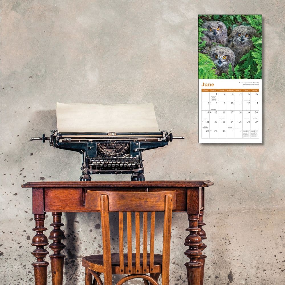 Owls 2026 Mini Wall Calendar Fourth Alternate Image
