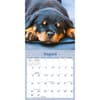 image Sleepy Puppies 2026 Mini Wall Calendar Third Alternate Image