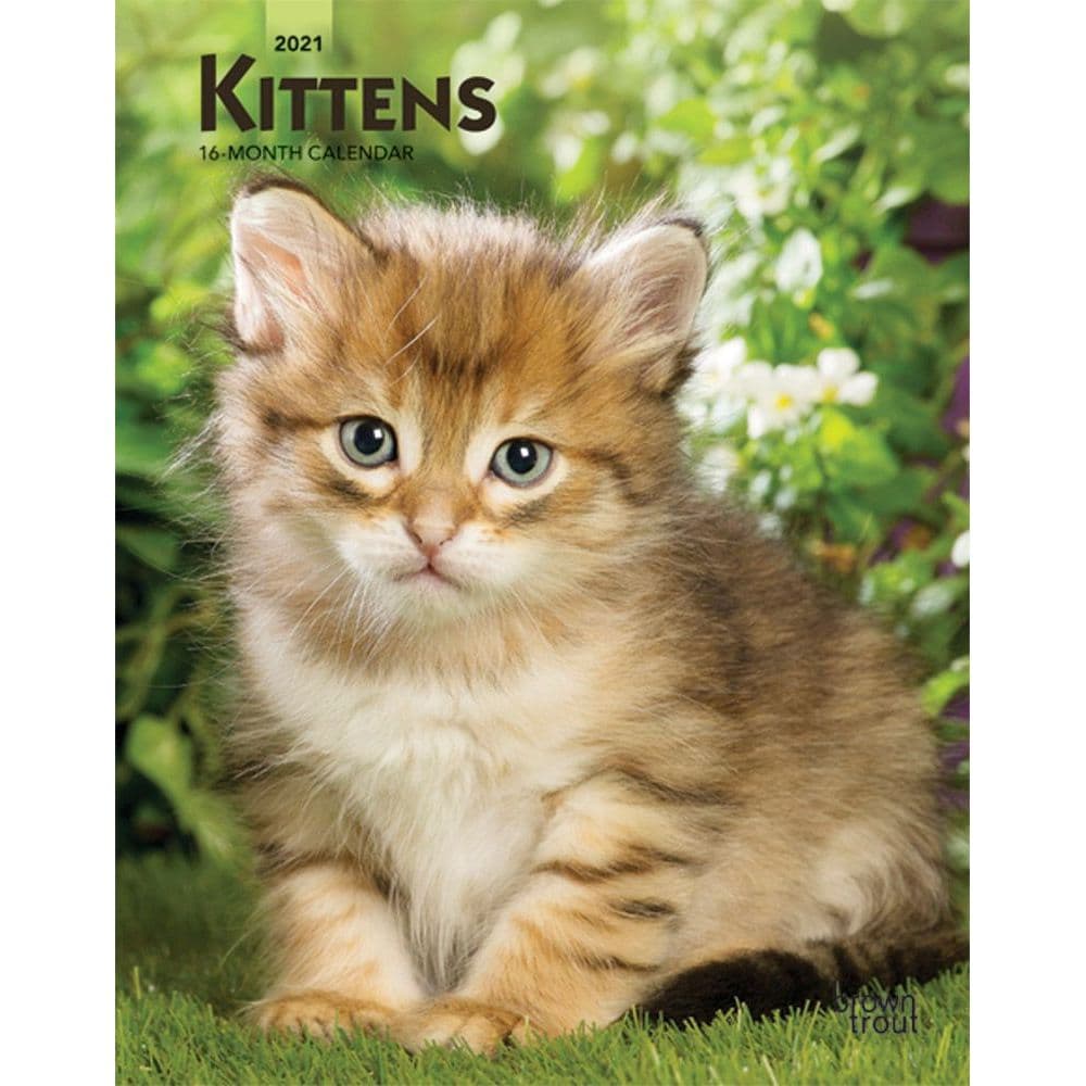 Kittens Planner