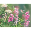 image Wild Sweet Pea 4" x 5.25" Blank Notecards by Susan Bourdet Main Image