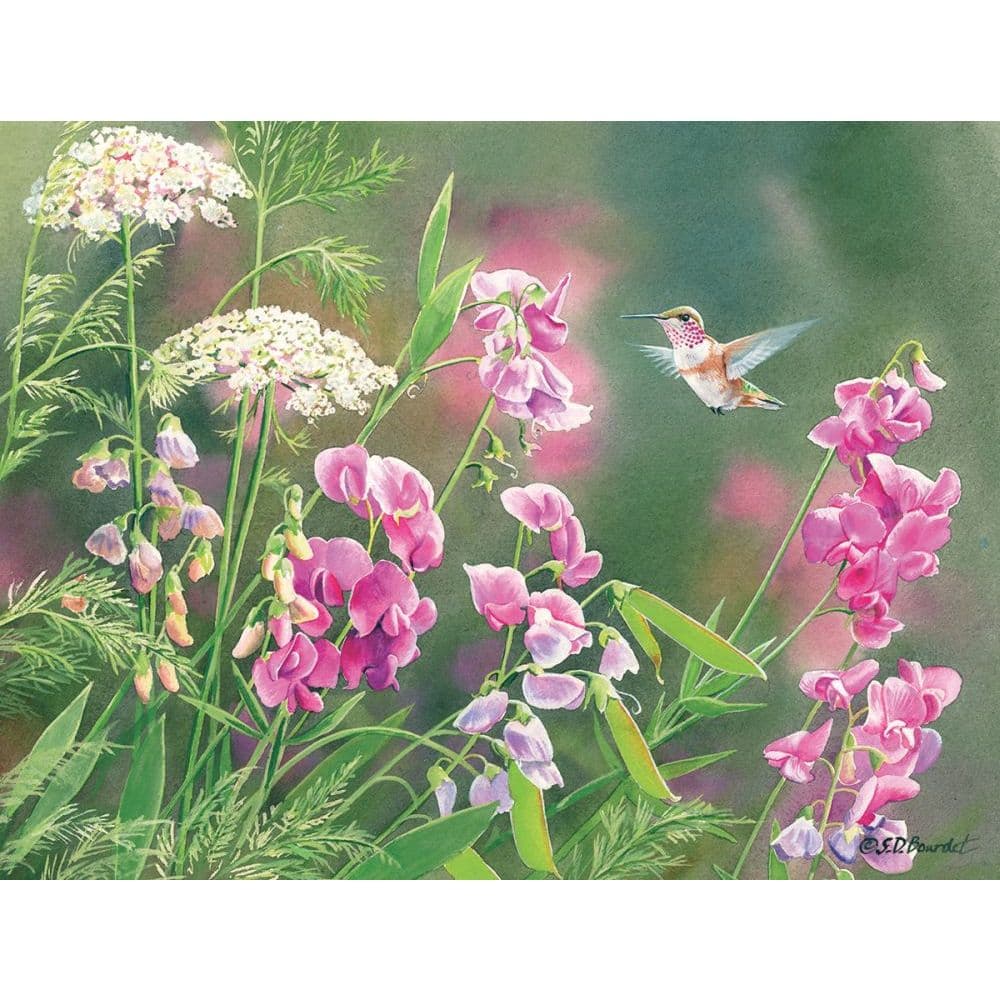 Wild Sweet Pea 4" x 5.25" Blank Notecards by Susan Bourdet Main Image