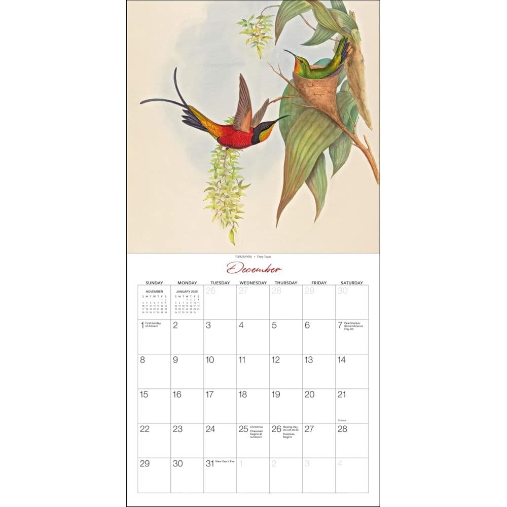Goulds Hummingbirds 2024 Mini Wall Calendar Fourth Alternate Image width=&quot;1000&quot; height=&quot;1000&quot;