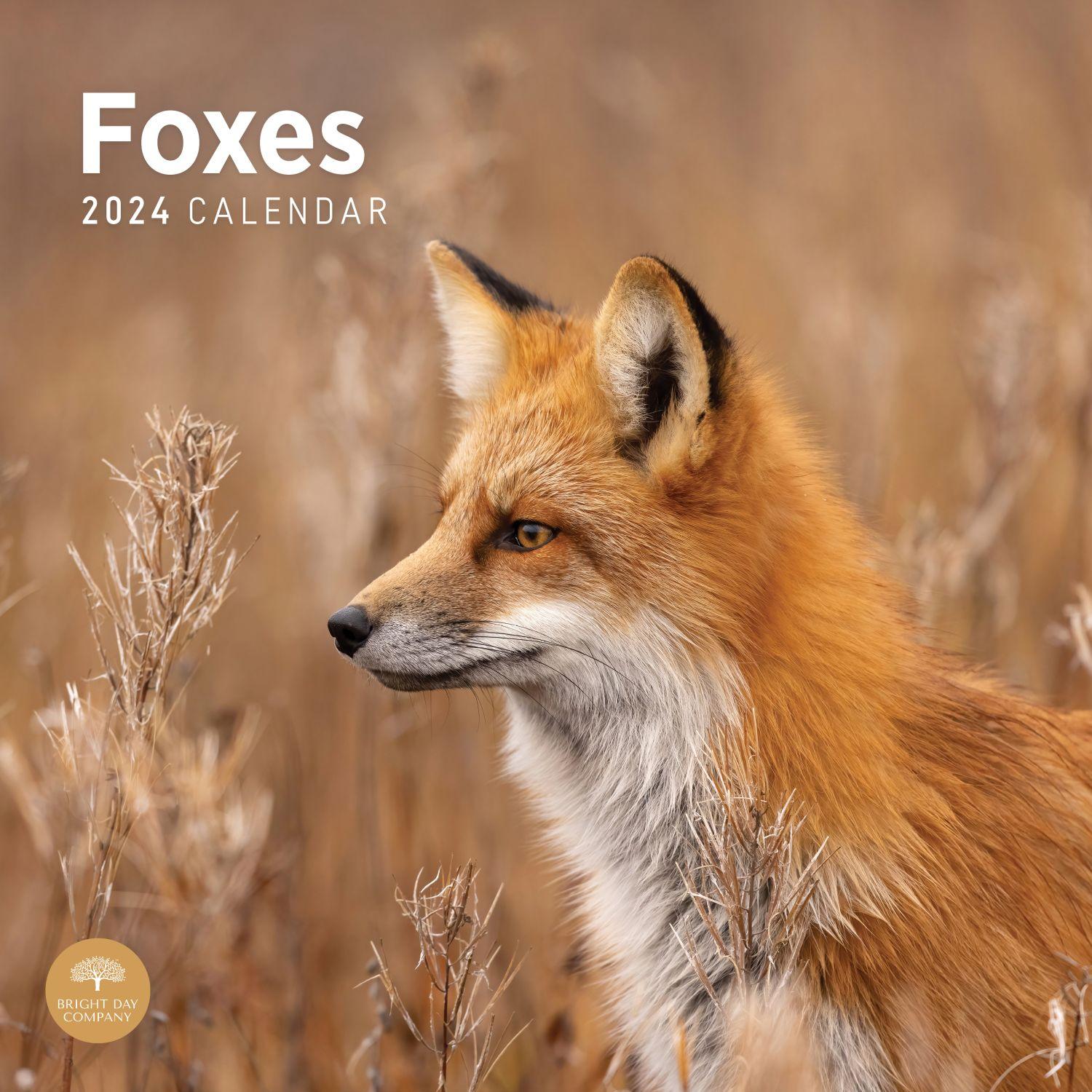 Foxes 2025 Wall Calendar