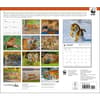 image Tigers WWF 2025 Wall Calendar First Alternate Image width=&quot;1000&quot; height=&quot;1000&quot;