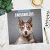 image Crossbreeds 2025 Wall Calendar Fifth Alternate Image width=&quot;1000&quot; height=&quot;1000&quot;