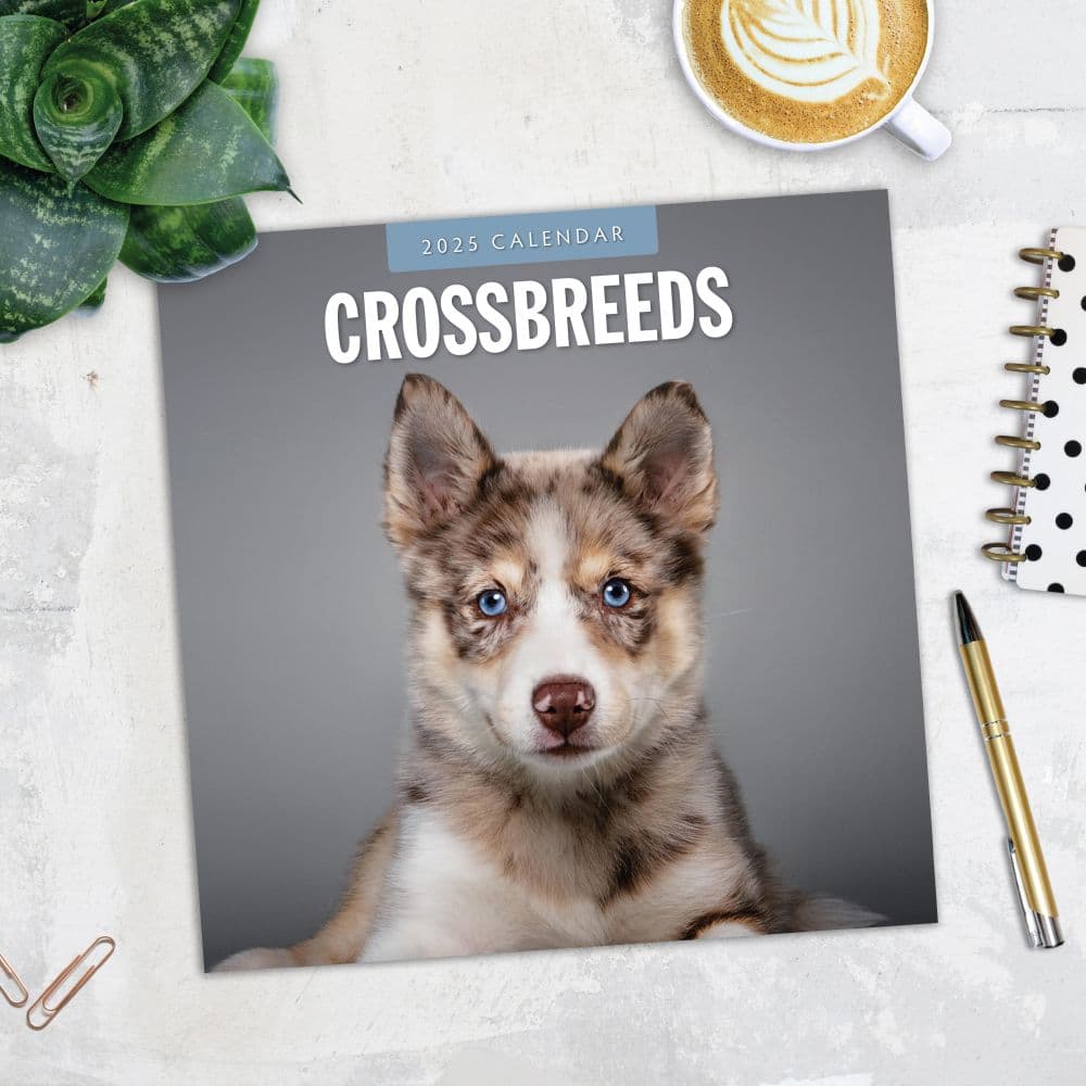 Crossbreeds 2025 Wall Calendar Fifth Alternate Image width=&quot;1000&quot; height=&quot;1000&quot;