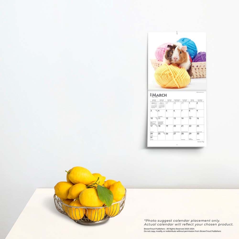 Guinea Pigs 2024 Mini Wall Calendar