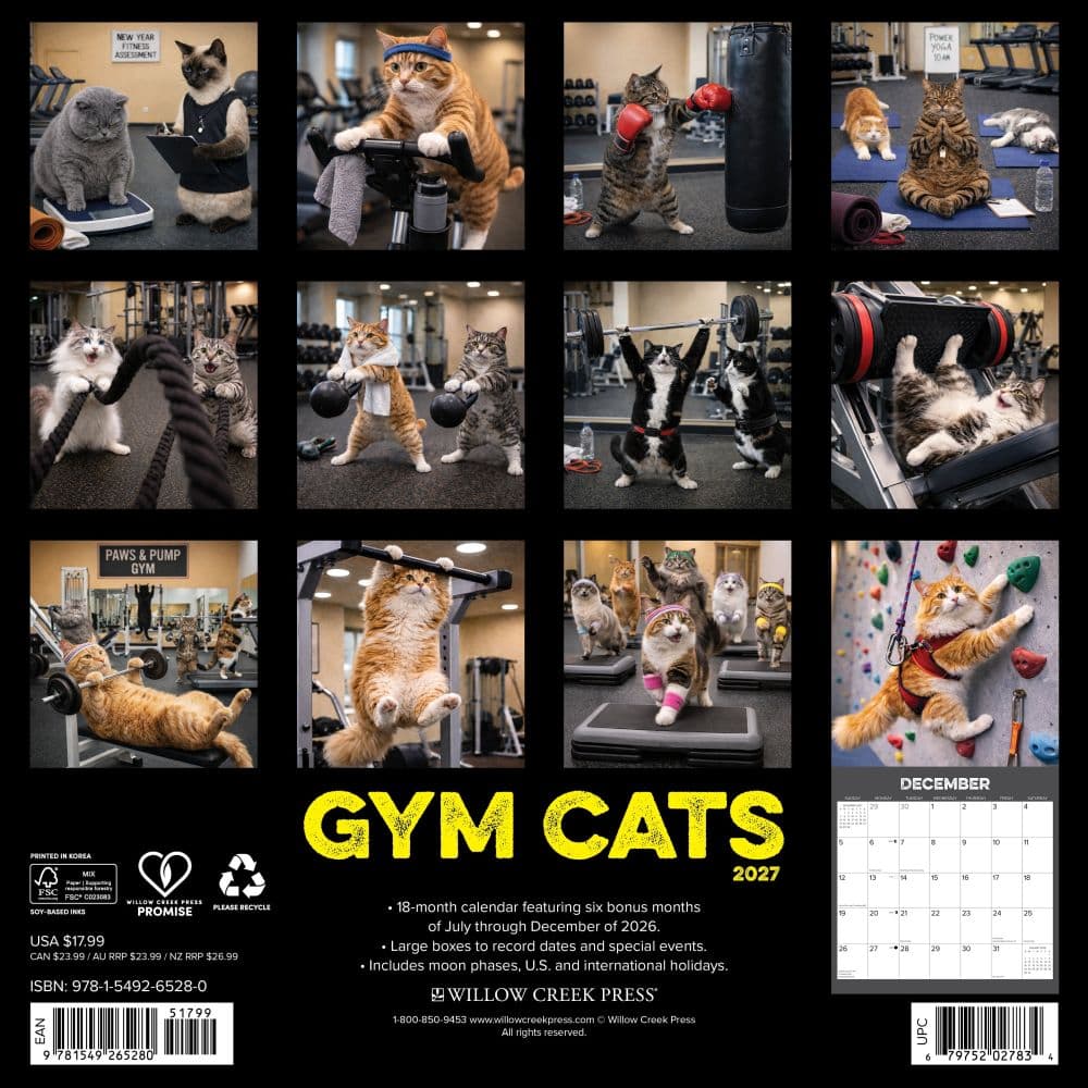 Gym Cats 2027 Wall Calendar First Alternate Image