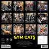 image Gym Cats 2027 Wall Calendar First Alternate Image