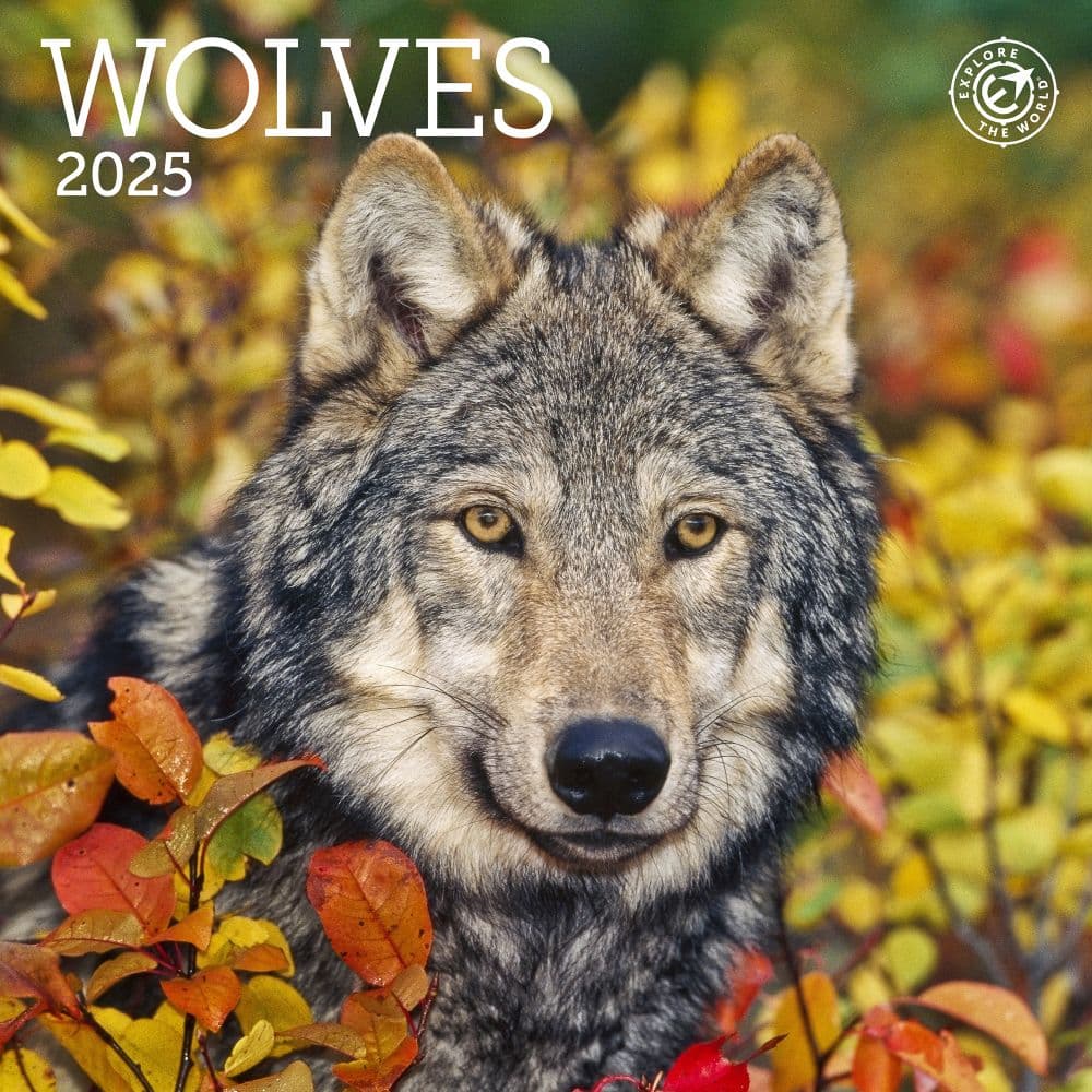 Wolves 2025 Mini Wall Calendar