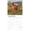 image Vizslas 2025 Wall Calendar Third Alternate Image width=&quot;1000&quot; height=&quot;1000&quot;