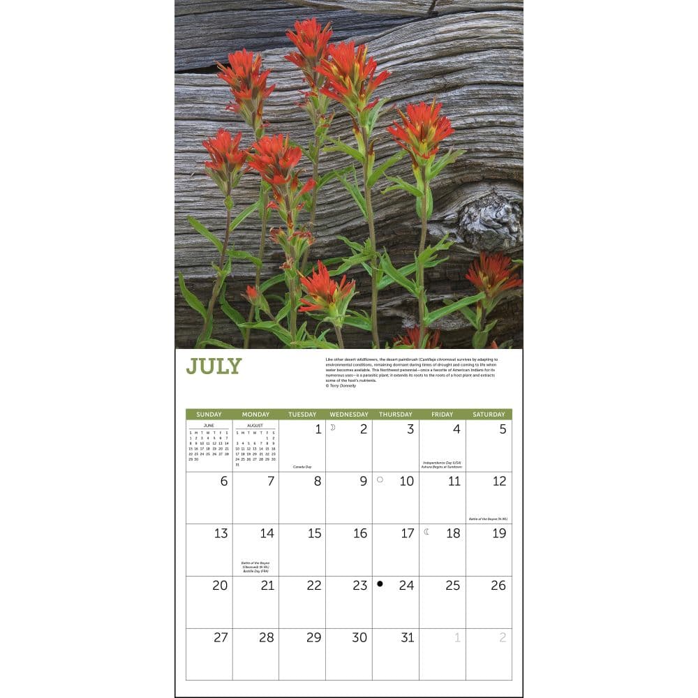 Wildflowers 2025 Wall Calendar Fourth Alternate Image width=&quot;1000&quot; height=&quot;1000&quot;