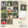 image Boston Terrier Puppies 2025 Mini Wall Calendar First Alternate Image width=&quot;1000&quot; height=&quot;1000&quot;