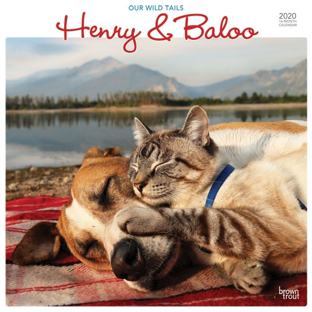 Our Wild Tails Henry and Baloo Wall Calendar