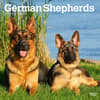 image German Shepherds Calendar Front