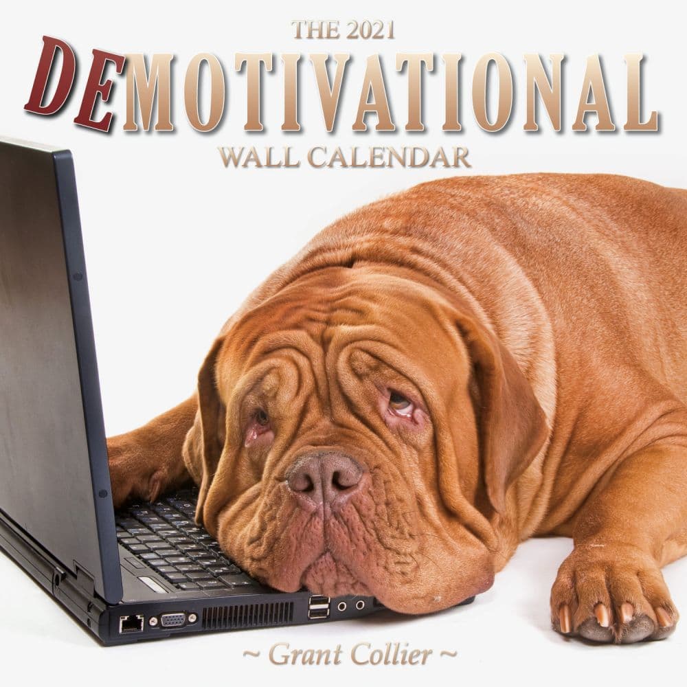 Demotivational Wall Calendar