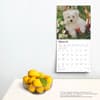 image Maltese 2025 Wall Calendar Fourth Alternate Image width=&quot;1000&quot; height=&quot;1000&quot;