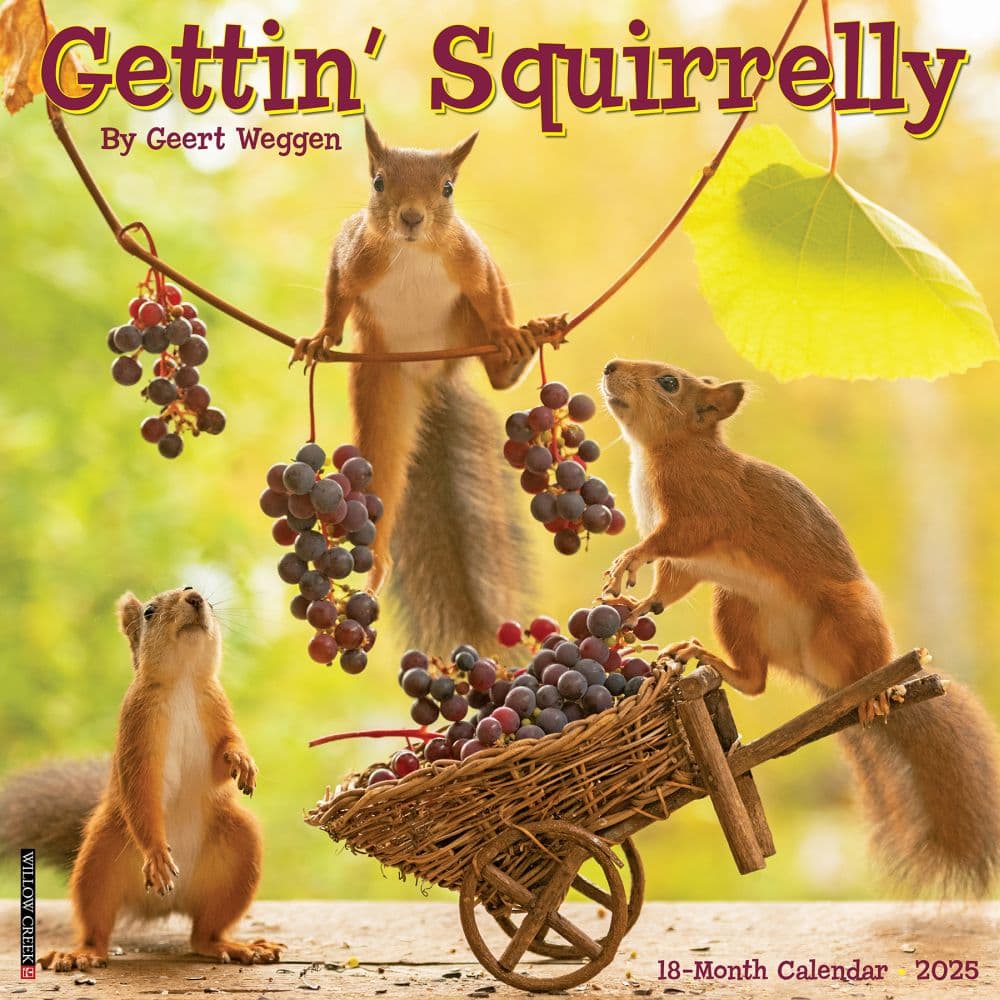 image Getting Squirrelly 2025 Wall Calendar Main Image