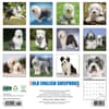 image Just Old English Sheepdogs 2025 Wall Calendar